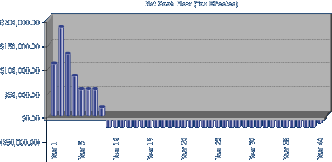 New Purchase Cash Flow Graph